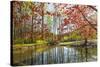 Japanese Maple and Pond in Spring-Richard T. Nowitz-Stretched Canvas