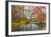 Japanese Maple and Pond in Spring-Richard T. Nowitz-Framed Photographic Print