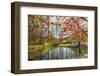 Japanese Maple and Pond in Spring-Richard T. Nowitz-Framed Photographic Print