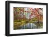 Japanese Maple and Pond in Spring-Richard T. Nowitz-Framed Photographic Print