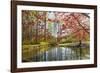 Japanese Maple and Pond in Spring-Richard T. Nowitz-Framed Photographic Print
