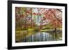 Japanese Maple and Pond in Spring-Richard T. Nowitz-Framed Photographic Print