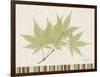 Japanese Maple Colors-Albert Koetsier-Framed Art Print