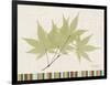 Japanese Maple Colors-Albert Koetsier-Framed Art Print