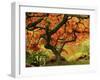 Japanese Maple in Full Fall Color, Portland Japanese Garden, Portland, Oregon, USA-Michel Hersen-Framed Premium Photographic Print