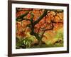 Japanese Maple in Full Fall Color, Portland Japanese Garden, Portland, Oregon, USA-Michel Hersen-Framed Premium Photographic Print