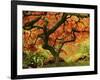 Japanese Maple in Full Fall Color, Portland Japanese Garden, Portland, Oregon, USA-Michel Hersen-Framed Photographic Print