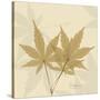 Japanese Maple Moments 1-Albert Koetsier-Stretched Canvas