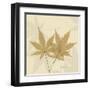 Japanese Maple Moments 1-Albert Koetsier-Framed Art Print