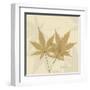 Japanese Maple Moments 1-Albert Koetsier-Framed Art Print