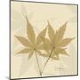 Japanese Maple Moments 1-Albert Koetsier-Mounted Art Print