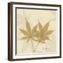 Japanese Maple Moments 1-Albert Koetsier-Framed Art Print