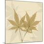 Japanese Maple Moments 1-Albert Koetsier-Mounted Art Print