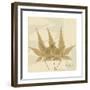 Japanese Maple Moments 3-Albert Koetsier-Framed Premium Giclee Print