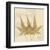 Japanese Maple Moments 3-Albert Koetsier-Framed Art Print