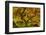Japanese Maple, Portland Japanese Garden, Portland, Oregon, Usa-Michel Hersen-Framed Photographic Print