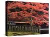 Japanese Maple, Tosho-Gu Shrine, Nikko, Central Honshu, Japan-Schlenker Jochen-Stretched Canvas