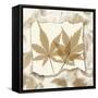 Japanese Maple Touches-Albert Koetsier-Framed Stretched Canvas