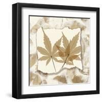 Japanese Maple Touches-Albert Koetsier-Framed Art Print