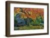 Japanese Maple Tree in Autumn, Japanese Gardens, Portland, Oregon-Chuck Haney-Framed Photographic Print