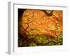 Japanese Maple Trees in Winterthur Gardens, Wilmington, Delaware, Usa-Jay O'brien-Framed Photographic Print