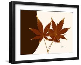 Japanese Maple Twins-Albert Koetsier-Framed Art Print