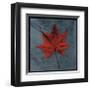 Japanese Maple-John Golden-Framed Giclee Print