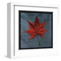 Japanese Maple-John Golden-Framed Giclee Print