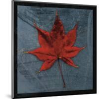 Japanese Maple-John Golden-Mounted Giclee Print