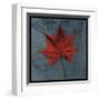 Japanese Maple-John Golden-Framed Giclee Print