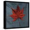 Japanese Maple-John Golden-Stretched Canvas