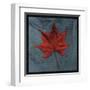 Japanese Maple-John Golden-Framed Art Print