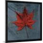 Japanese Maple-John W^ Golden-Mounted Art Print