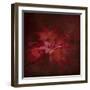 Japanese Maple-Jai Johnson-Framed Giclee Print