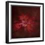 Japanese Maple-Jai Johnson-Framed Premium Giclee Print