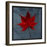 Japanese Maple-John W Golden-Framed Giclee Print