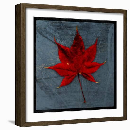 Japanese Maple-John W Golden-Framed Giclee Print