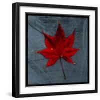 Japanese Maple-John W Golden-Framed Giclee Print