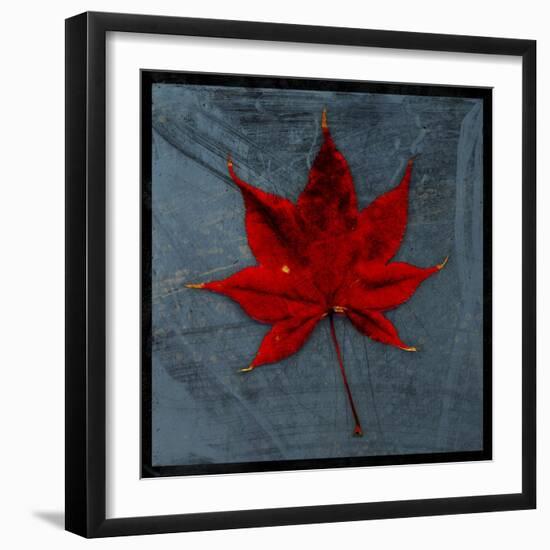 Japanese Maple-John W Golden-Framed Giclee Print