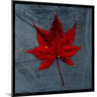 Japanese Maple-John W Golden-Mounted Giclee Print