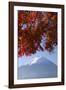 Japanese Maples and Mount Fuji, Fuji-Hakone-Izu National Park, Honshu, Japan-Art Wolfe-Framed Photographic Print