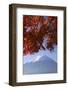 Japanese Maples and Mount Fuji, Fuji-Hakone-Izu National Park, Honshu, Japan-Art Wolfe-Framed Photographic Print