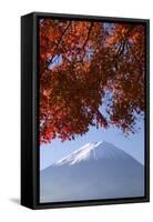 Japanese Maples and Mount Fuji, Fuji-Hakone-Izu National Park, Honshu, Japan-Art Wolfe-Framed Stretched Canvas