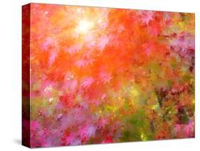 Japanese Maples in Autumn Design-Vincent James-Stretched Canvas