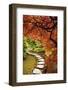 Japanese Maples in the fall, British Columbia, Canada-Stuart Westmorland-Framed Photographic Print