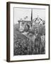 Japanese Military Parade-null-Framed Photographic Print