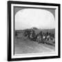 Japanese Military Transportation Train, Manchuria, 1906-null-Framed Giclee Print