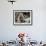 Japanese Monkey and Her Baby-null-Framed Photographic Print displayed on a wall