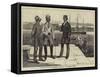 Japanese Naval and Military Officers in European Attire-Joseph Nash-Framed Stretched Canvas