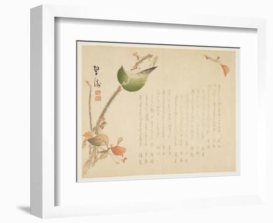 Japanese Nightingale Perched on a Branch-Suit?-Framed Giclee Print